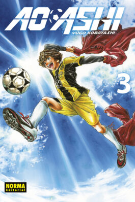 AO ASHI 3