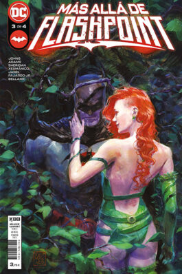 MÁS ALLÁ DE FLASHPOINT NÚM. 3 DE 4