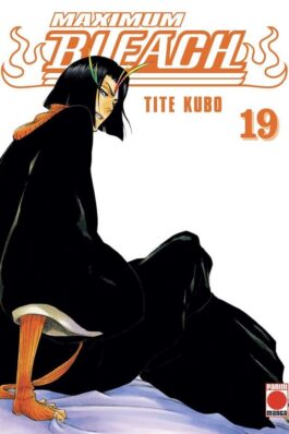 BLEACH MAXIMUM 19