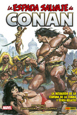 BIBLIOTECA CONAN. LA ESPADA SALVAJE DE CONAN 13