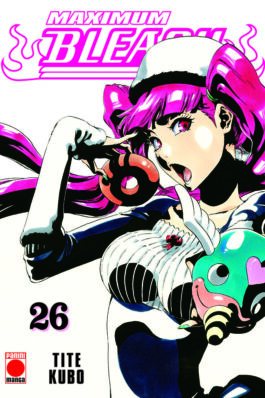 BLEACH MAXIMUM 26