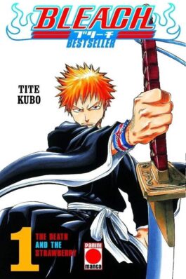 BLEACH BESTSELLER 01