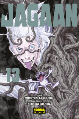 JAGAAN 13