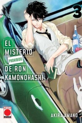 EL MISTERIO PROHIBIDO DE RON KAMONOHASHI 03