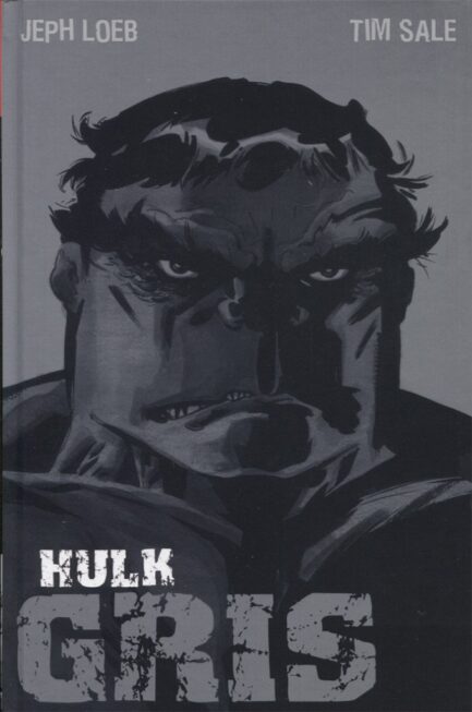 HULK GRIS (100% MARVEL HC)