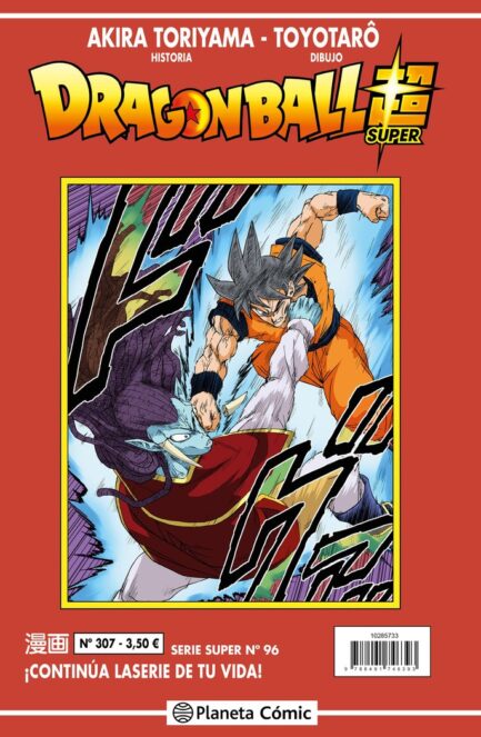 DRAGON BALL SERIE ROJA 307