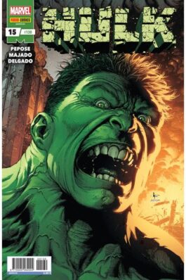 HULK 15 (130)