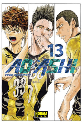 AO ASHI 13