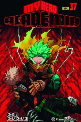 MY HERO ACADEMIA 37