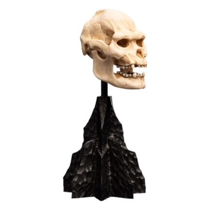 SKULL OF LURTZ - THE LORD OF THE RINGS - MINIATURE STATUE 14 CM - WETA WORKSHOP - Imagen 5