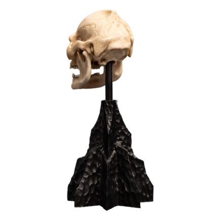 SKULL OF LURTZ - THE LORD OF THE RINGS - MINIATURE STATUE 14 CM - WETA WORKSHOP - Imagen 9