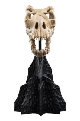 SKULL OF A FELL BEAST – THE LORD OF THE RINGS – MINIATURE STATUE 21 CM – WETA WORKSHOP