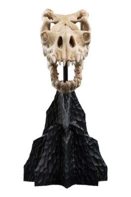 SKULL OF A FELL BEAST – THE LORD OF THE RINGS – MINIATURE STATUE 21 CM – WETA WORKSHOP