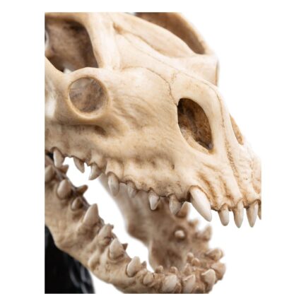 SKULL OF A FELL BEAST - THE LORD OF THE RINGS - MINIATURE STATUE 21 CM - WETA WORKSHOP - Imagen 3