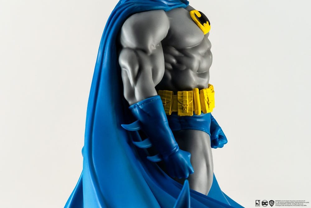 BATMAN CLASSIC PX - DC HEROES - 1/8 SCALE STATUE 27 CM - PURE ARTS - Imagen 8