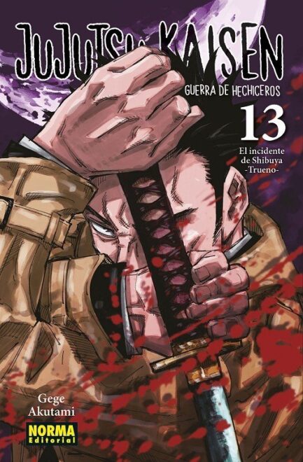 JUJUTSU KAISEN 13 NE