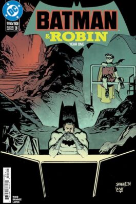 BATMAN Y ROBIN AÑO UNO 03 (3)