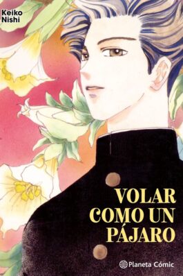VOLAR COMO UN PÁJARO