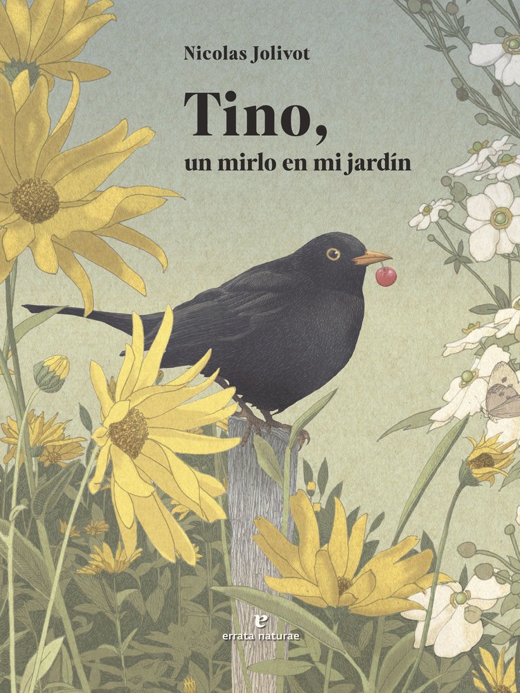 TINO UN MIRLO EN MI JARDIN