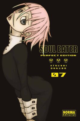 SOUL EATER PERFECT EDITION 07