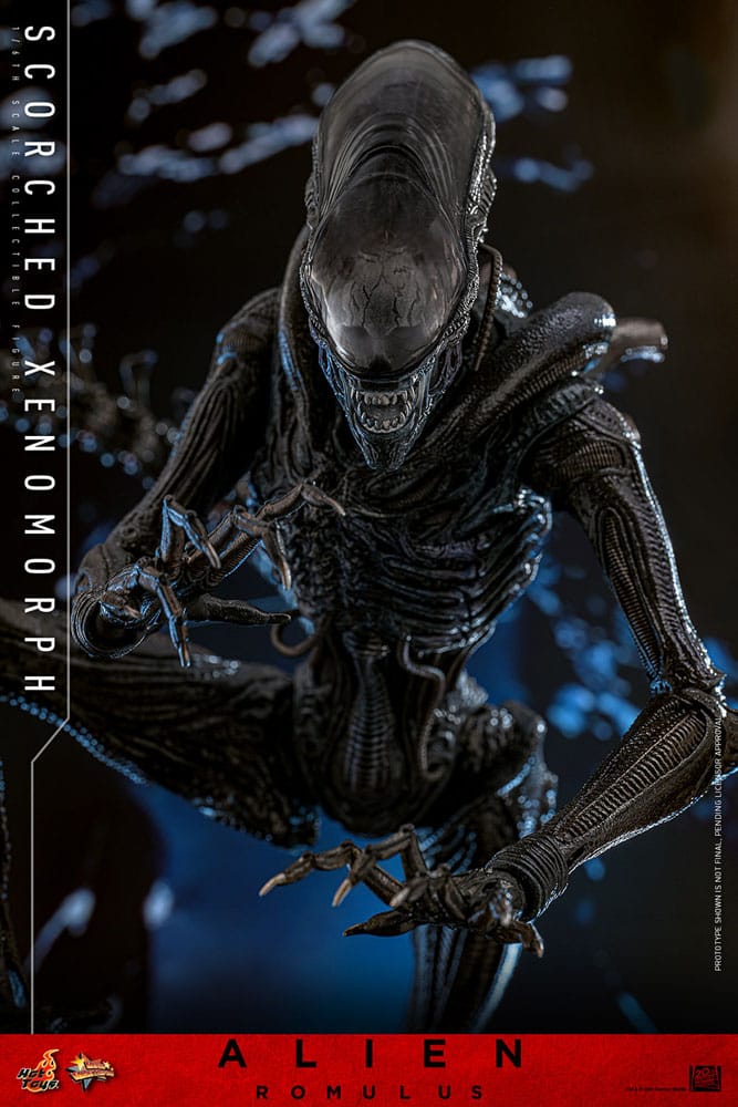 ALIEN: ROMULUS FIGURA MOVIE MASTERPIECE 1/6 SCORCHED XENOMORPH 44 CM - HOT TOYS - Imagen 12