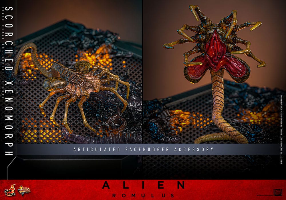 ALIEN: ROMULUS FIGURA MOVIE MASTERPIECE 1/6 SCORCHED XENOMORPH 44 CM - HOT TOYS - Imagen 20
