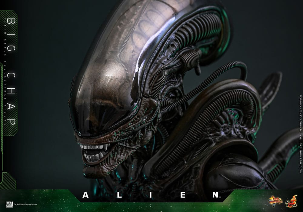 ALIEN FIGURA MOVIE MASTERPIECE 1/6 BIG CHAP 36 CM - HOT TOYS - Imagen 11