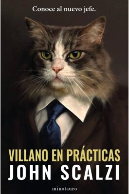 VILLANO EN PRÁCTICAS