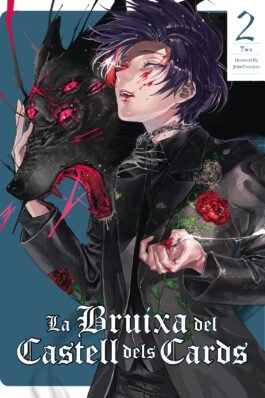 LA BRUIXA DEL CASTELL DELS CARDS VOL.02 (CATALAN)