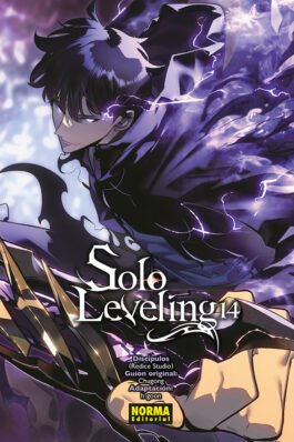 SOLO LEVELING 14