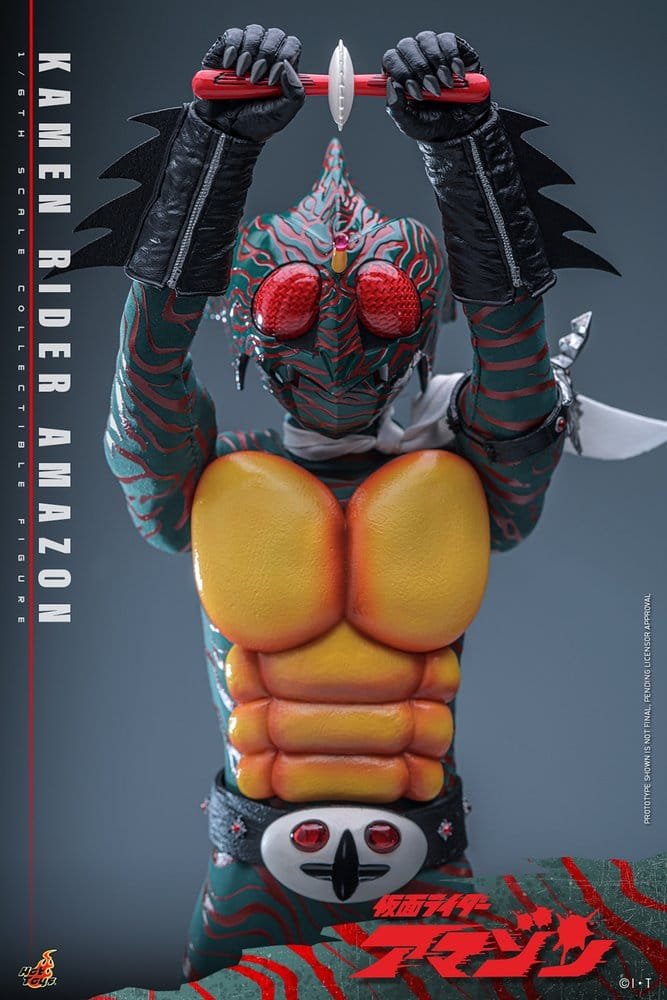 AMAZON AMAZON (DAISUKE YAMAMOTO) - KAMEN RIDER - 1/6 - HOT TOYS - Imagen 19