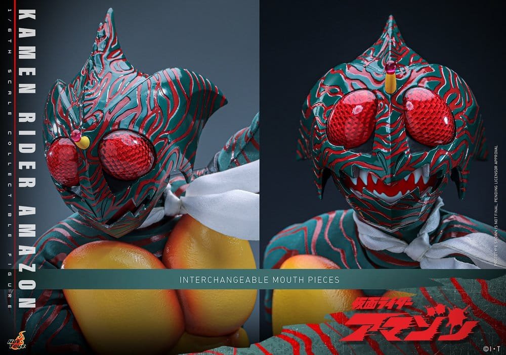 AMAZON AMAZON (DAISUKE YAMAMOTO) - KAMEN RIDER - 1/6 - HOT TOYS - Imagen 21