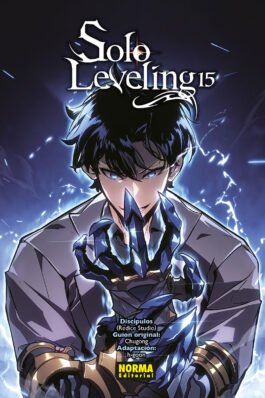 SOLO LEVELING 15