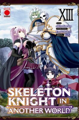 SKELETON KNIGHT IN ANOTHER WORLD 13