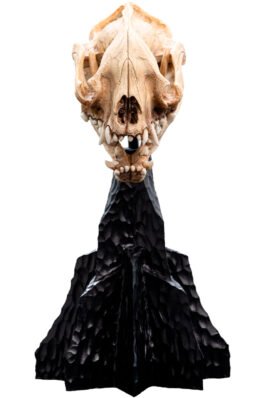 SKULL OF A WARG – THE LORD OF THE RINGS TRILOGY – MINIATURE STATUE – 20CM – WETA WORKSHOP