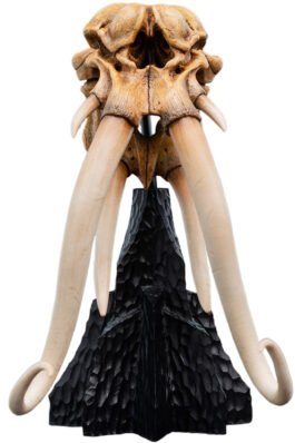 SKULL OF A MUMAK – THE LORD OF THE RINGS – MINIATURE STATUE – 14CM – WETA WORKSHOP