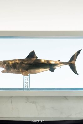 MAQUETA JAWS BRONZE – TIBURÓN – 1/18 – 60 CM – ELITE CREATURE COLLECTIBLES