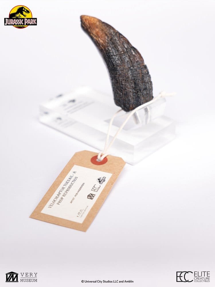 JURASSIC PARK RÉPLICA VELOCIRAPTOR TOENAIL TYPE A - JURASSIC PARK 1 - 1/1 - 11 CM - ELITE CREATURE COLLECTIBLES - Imagen 2