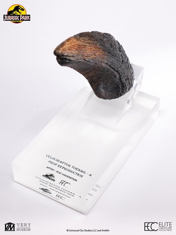 JURASSIC PARK RÉPLICA VELOCIRAPTOR TOENAIL TYPE A - JURASSIC PARK 1 - 1/1 - 11 CM - ELITE CREATURE COLLECTIBLES - Imagen 3