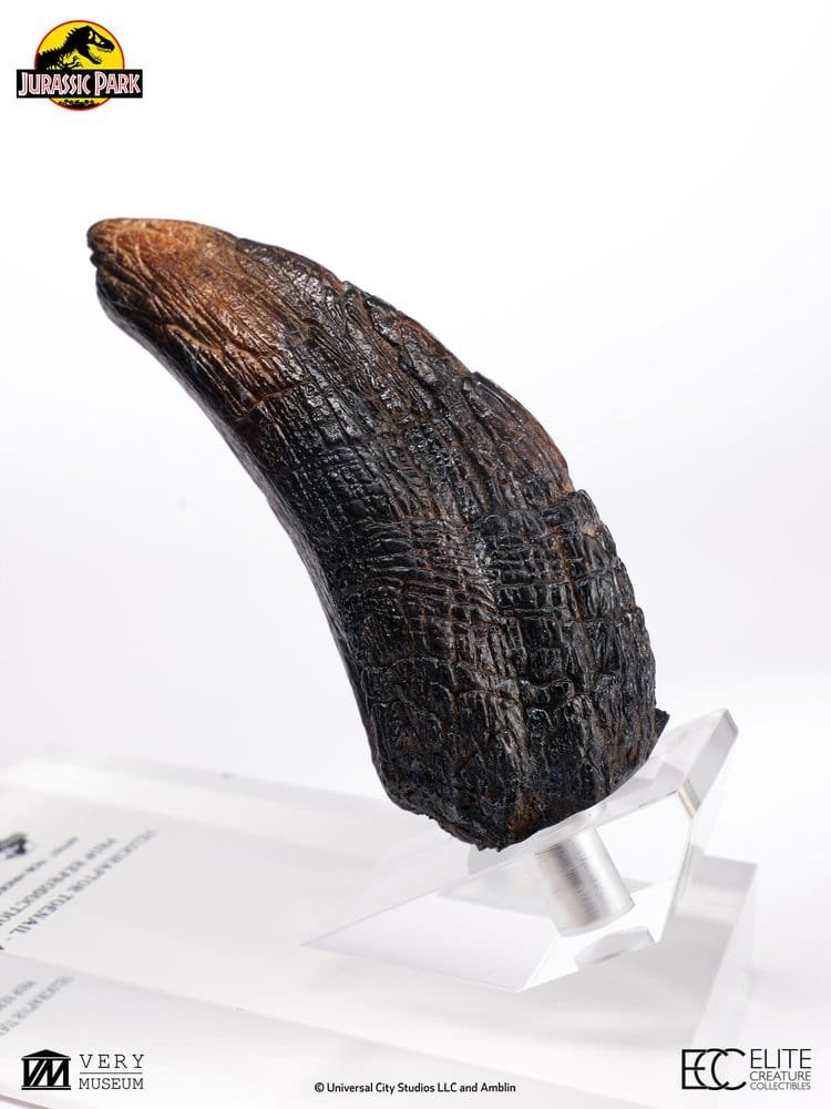 JURASSIC PARK RÉPLICA VELOCIRAPTOR TOENAIL TYPE A - JURASSIC PARK 1 - 1/1 - 11 CM - ELITE CREATURE COLLECTIBLES - Imagen 4