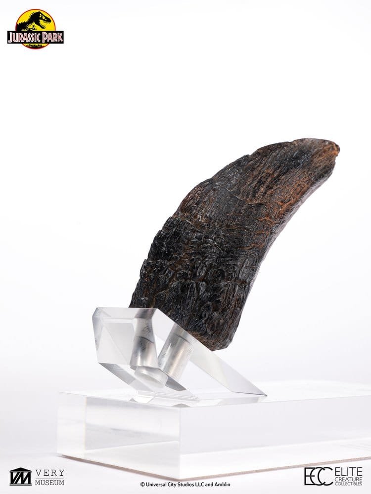 JURASSIC PARK RÉPLICA VELOCIRAPTOR TOENAIL TYPE A - JURASSIC PARK 1 - 1/1 - 11 CM - ELITE CREATURE COLLECTIBLES - Imagen 9