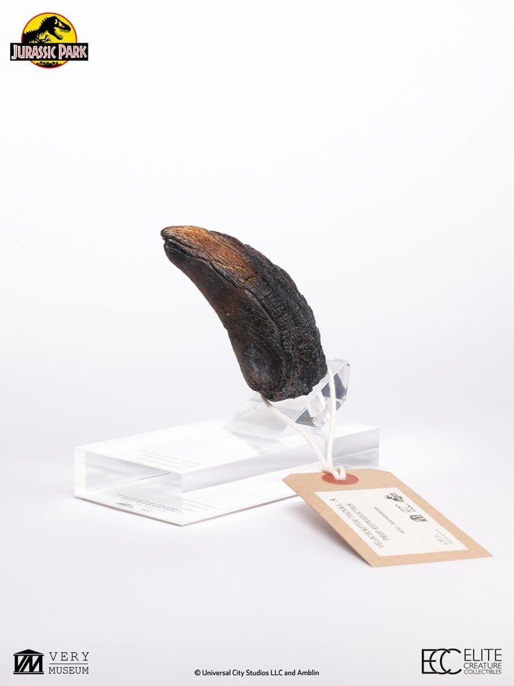 JURASSIC PARK RÉPLICA VELOCIRAPTOR TOENAIL TYPE A - JURASSIC PARK 1 - 1/1 - 11 CM - ELITE CREATURE COLLECTIBLES - Imagen 8
