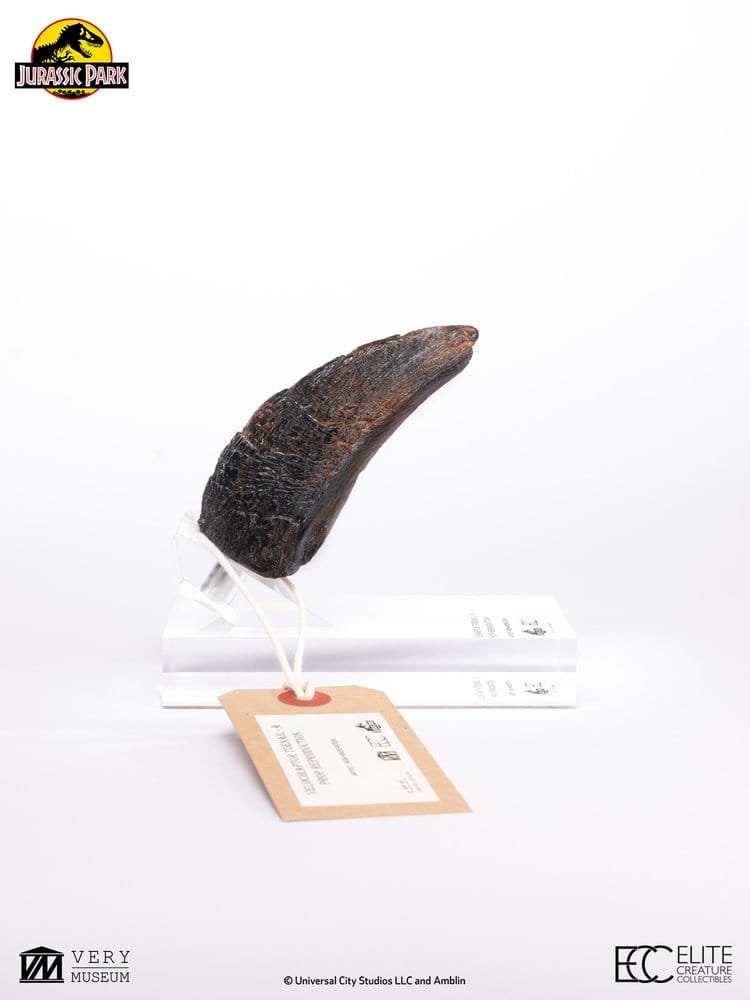 JURASSIC PARK RÉPLICA VELOCIRAPTOR TOENAIL TYPE A - JURASSIC PARK 1 - 1/1 - 11 CM - ELITE CREATURE COLLECTIBLES - Imagen 10