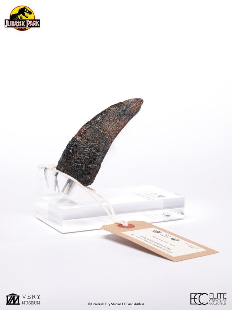 JURASSIC PARK RÉPLICA VELOCIRAPTOR TOENAIL TYPE A - JURASSIC PARK 1 - 1/1 - 11 CM - ELITE CREATURE COLLECTIBLES - Imagen 11