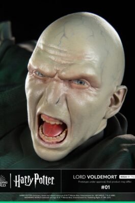 IKIGAI LORD VOLDEMORT – HARRY POTTER – FIGURA 1/6 – TSUME
