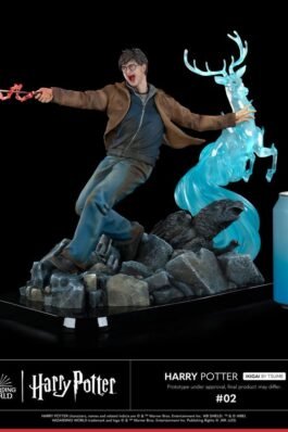 IKIGAI – HARRY POTTER – FIGURA 1/6 – TSUME