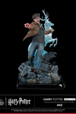 IKIGAI – HARRY POTTER – FIGURA 1/6 – TSUME