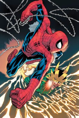 EL ASOMBROSO SPIDERMAN 13 (265)