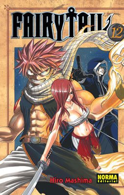 FAIRY TAIL 12