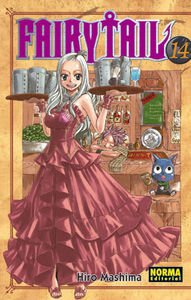 FAIRY TAIL 14